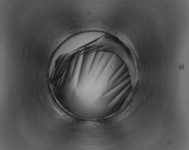 X0000090970393200708241320