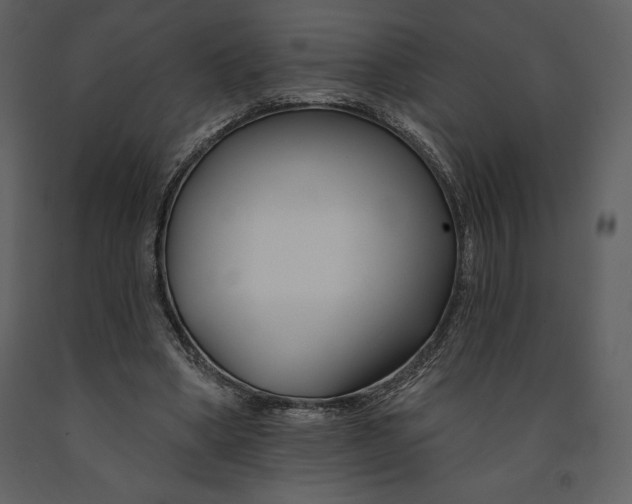 X0000090970394200708241320