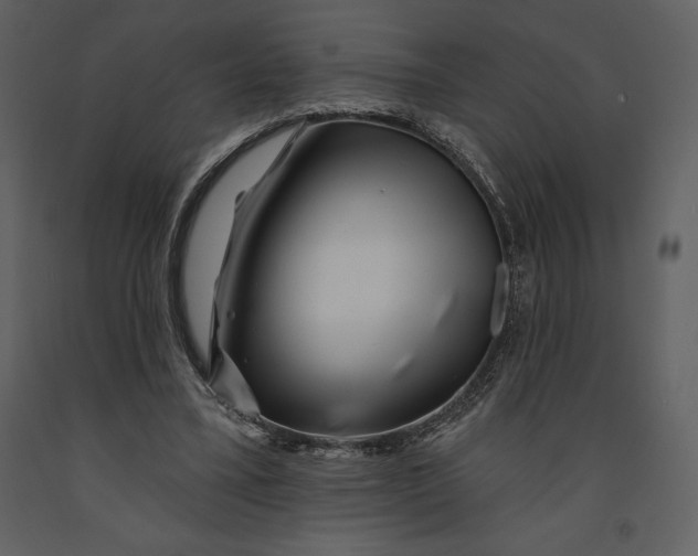 X0000090970395200708241320