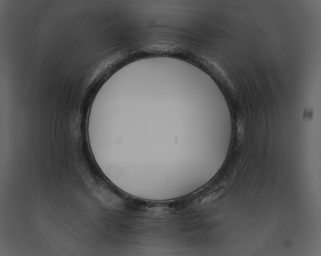 X0000090970396200708241320