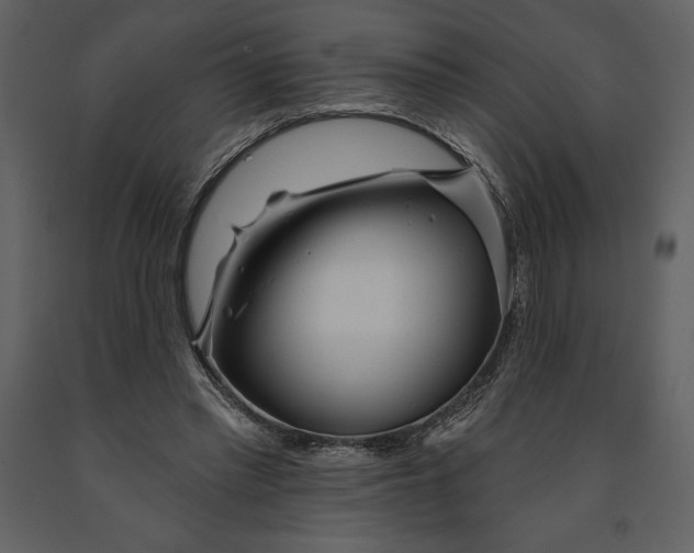 X0000090970397200708241320