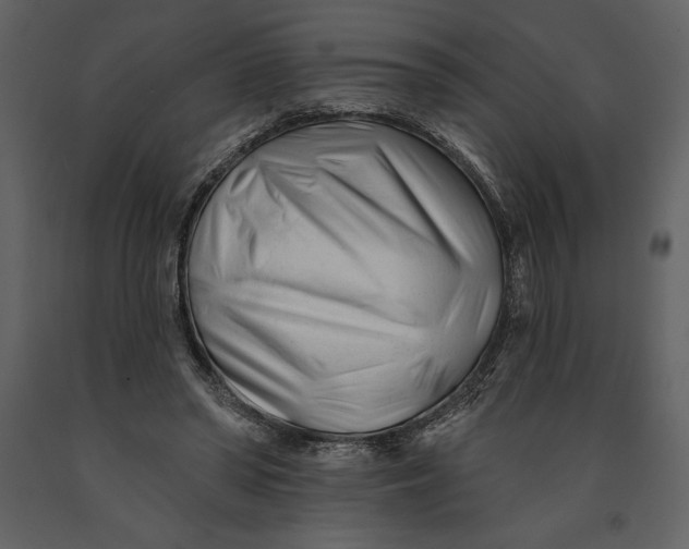 X0000090970398200708241320