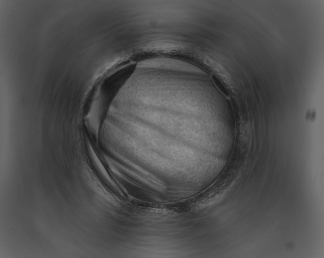 X0000090970399200708241320