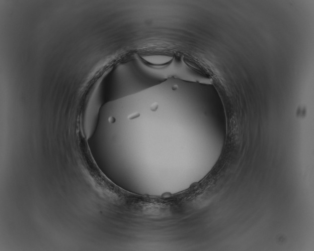 X0000090970400200708241320