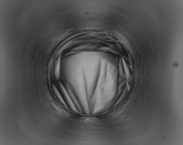 X0000090970401200708241320