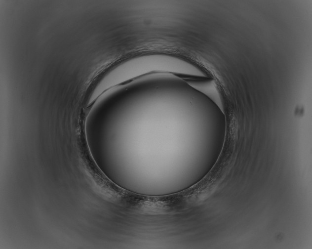 X0000090970403200708241320