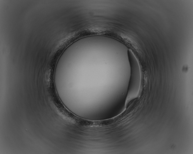 X0000090970404200708241320