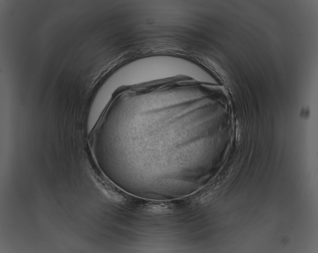 X0000090970405200708241320