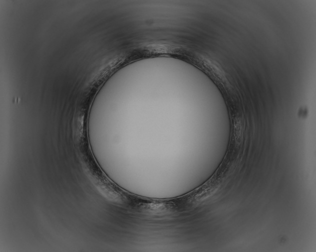 X0000090970406200708241320