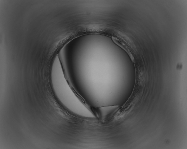 X0000090970407200708241320