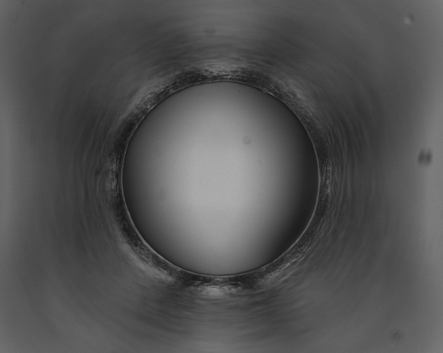 X0000090970408200708241320