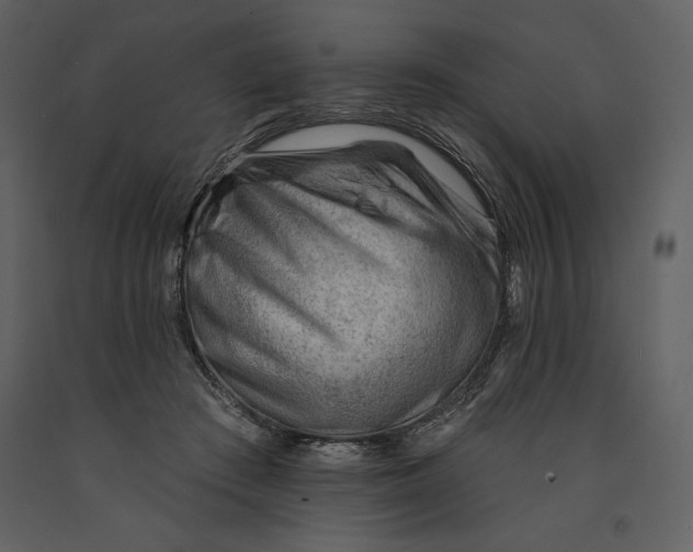 X0000090970409200708241320