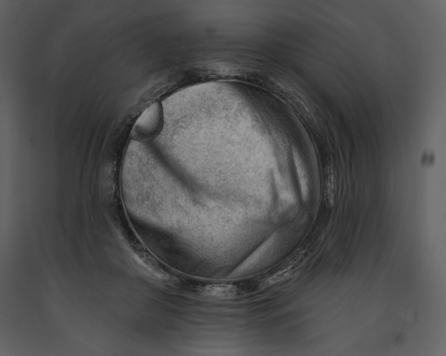 X0000090970410200708241320