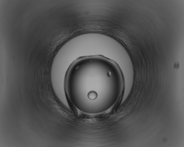 X0000090970411200708241320