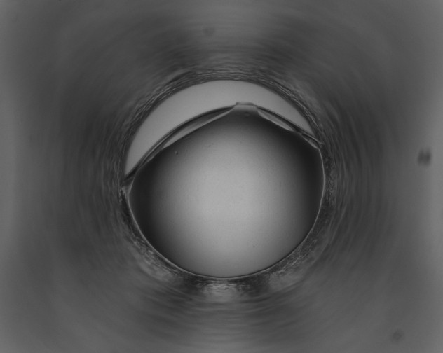 X0000090970413200708241320