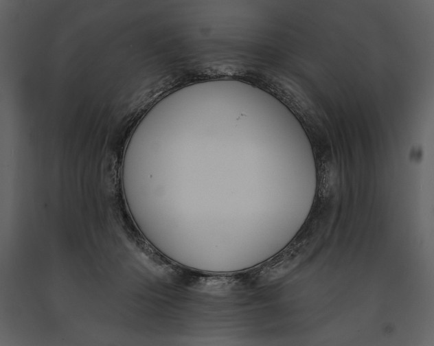 X0000090970414200708241320