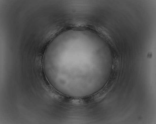 X0000090970415200708241320