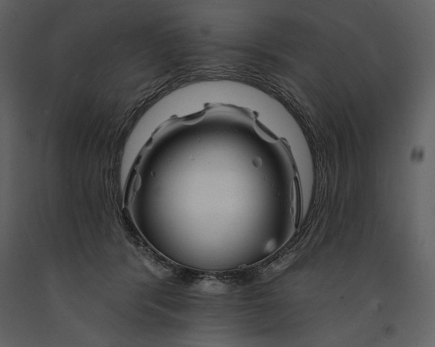 X0000090970416200708241320