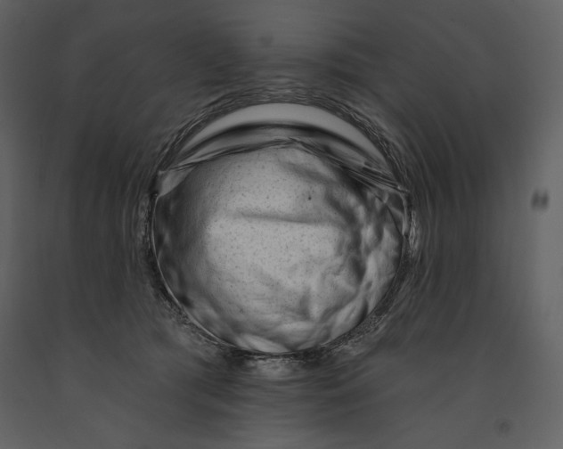 X0000090970417200708241320