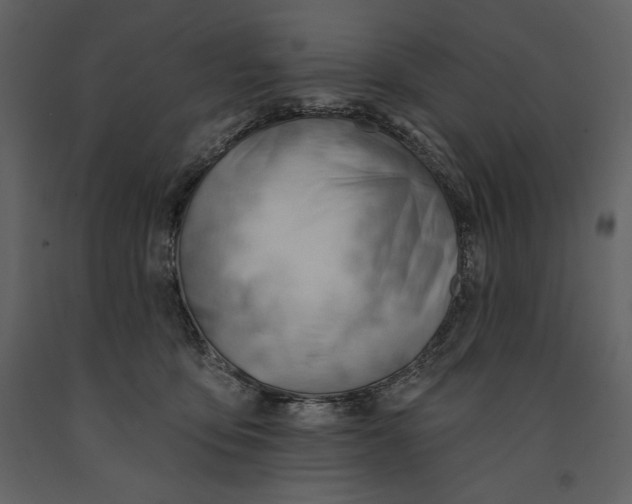 X0000090970419200708241320