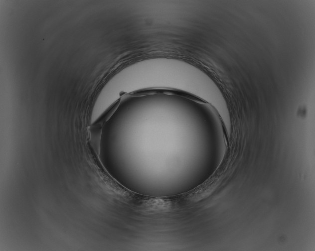 X0000090970421200708241320