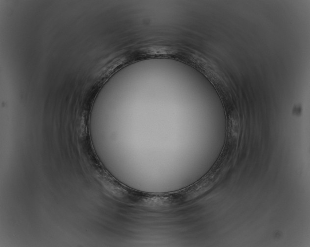 X0000090970422200708241320