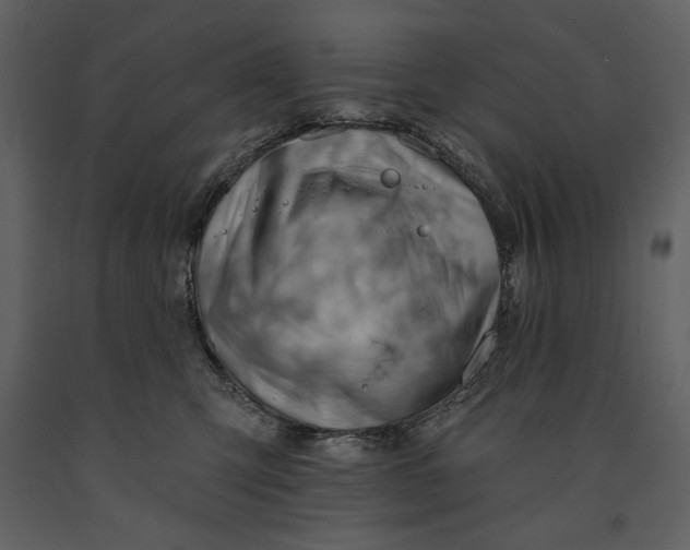 X0000090970423200708241320