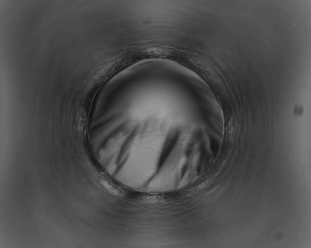 X0000090970424200708241320