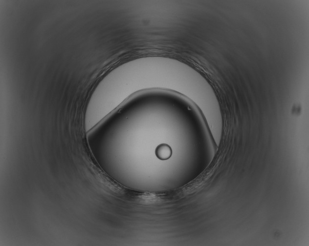 X0000090970425200708241320