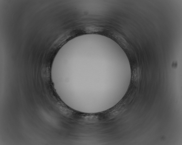 X0000090970426200708241320