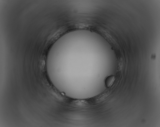 X0000090970427200708241320