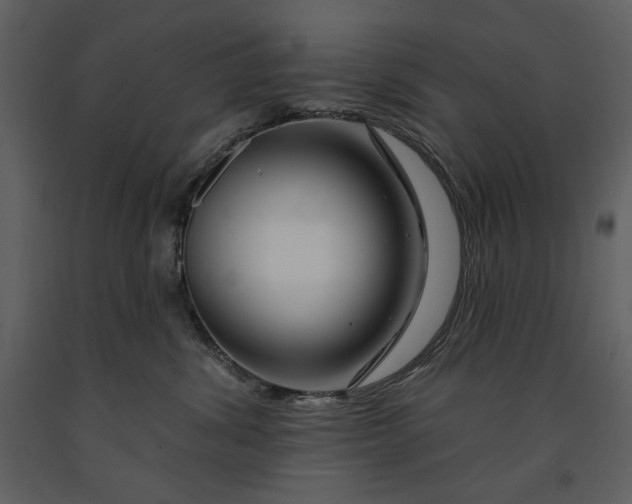 X0000090970428200708241320