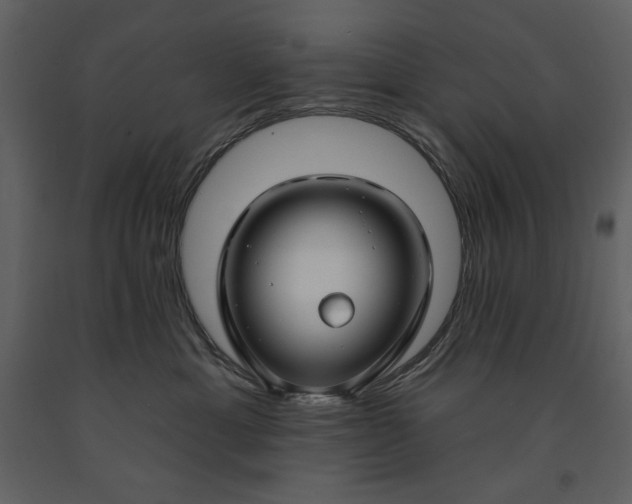 X0000090970429200708241320