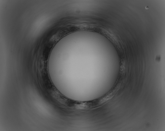 X0000090970430200708241320