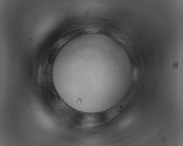 X0000090970431200708241320