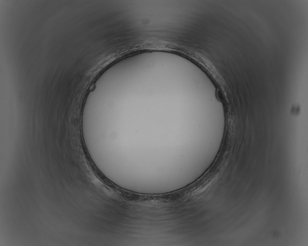 X0000090970433200708241319