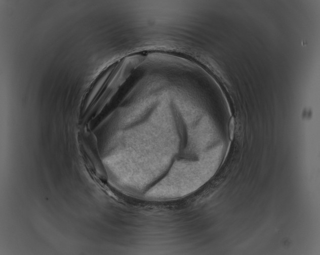 X0000090970434200708241319