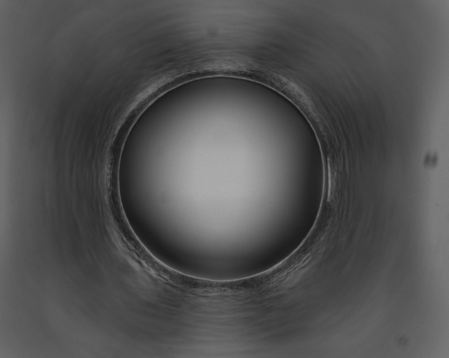 X0000090970435200708241319