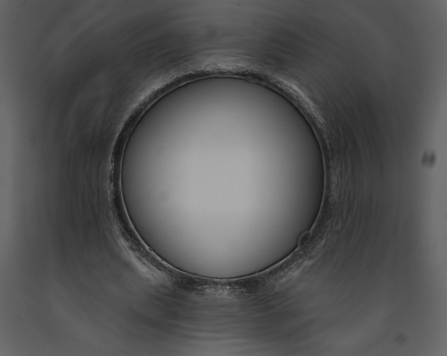 X0000090970439200708241319