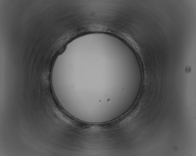 X0000090970441200708241319