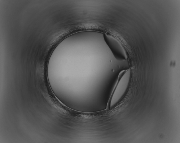 X0000090970442200708241319