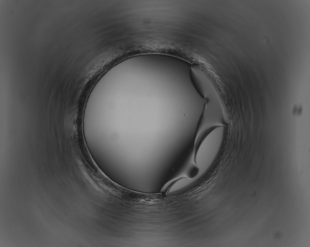 X0000090970443200708241319