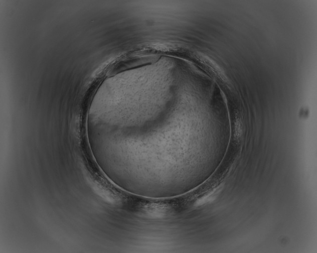 X0000090970444200708241319