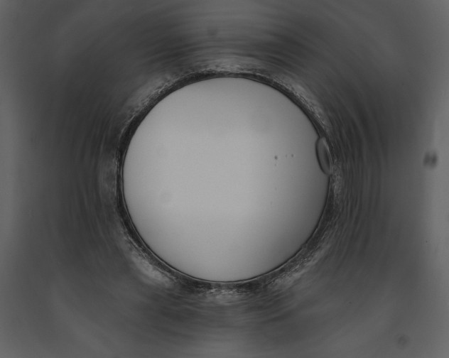 X0000090970445200708241319