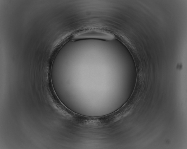 X0000090970446200708241319