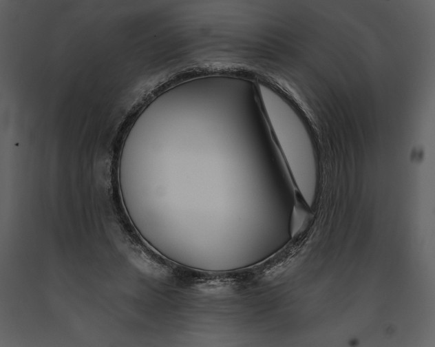 X0000090970447200708241319