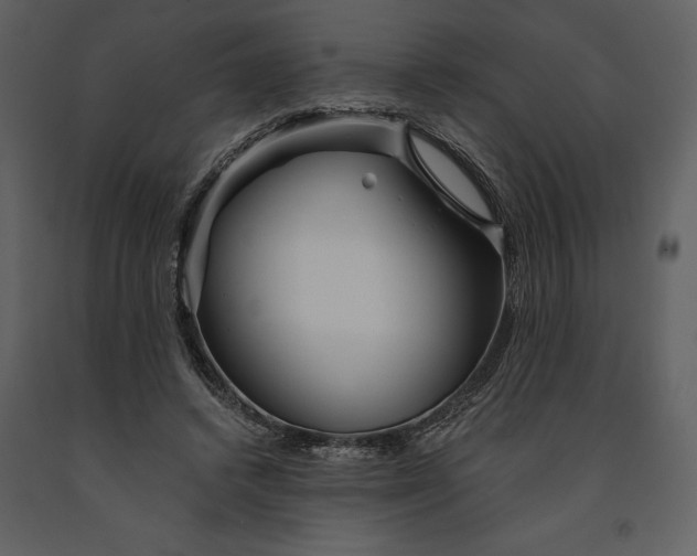 X0000090970448200708241319