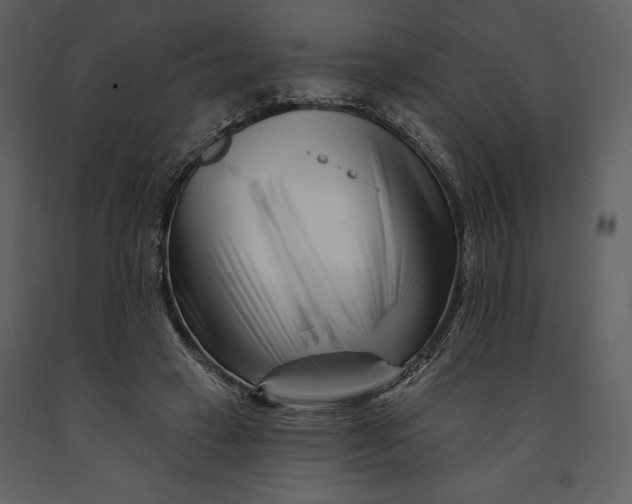 X0000090970449200708241319