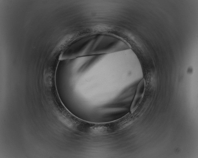 X0000090970452200708241319