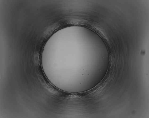 X0000090970453200708241319